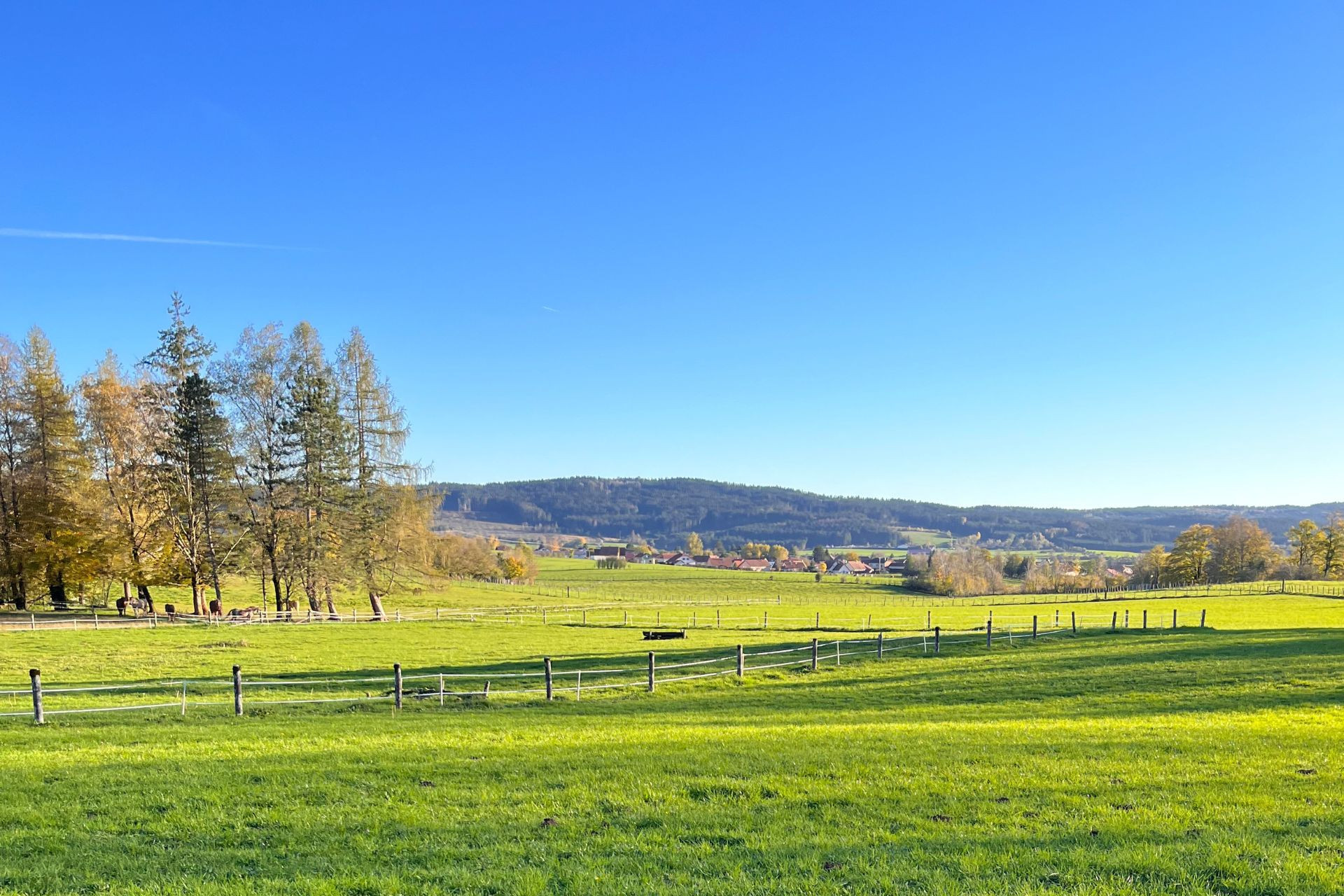 haut-doubs-levier-plaine-enclos-verdure-juliette-melquiond-950