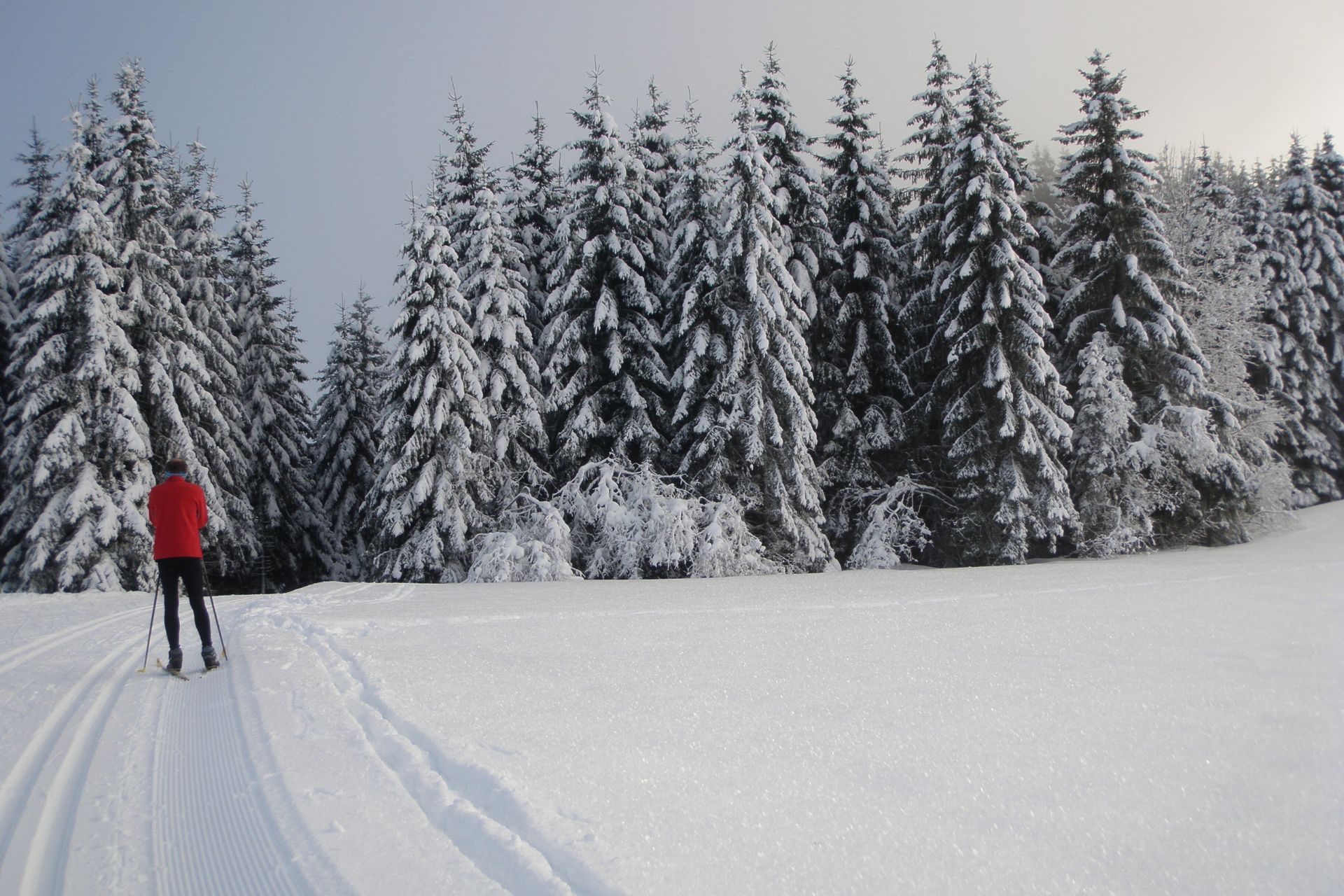 ahaut-doubs-ski-de-fond-les-fourgs-elisabeth-contejean-38455