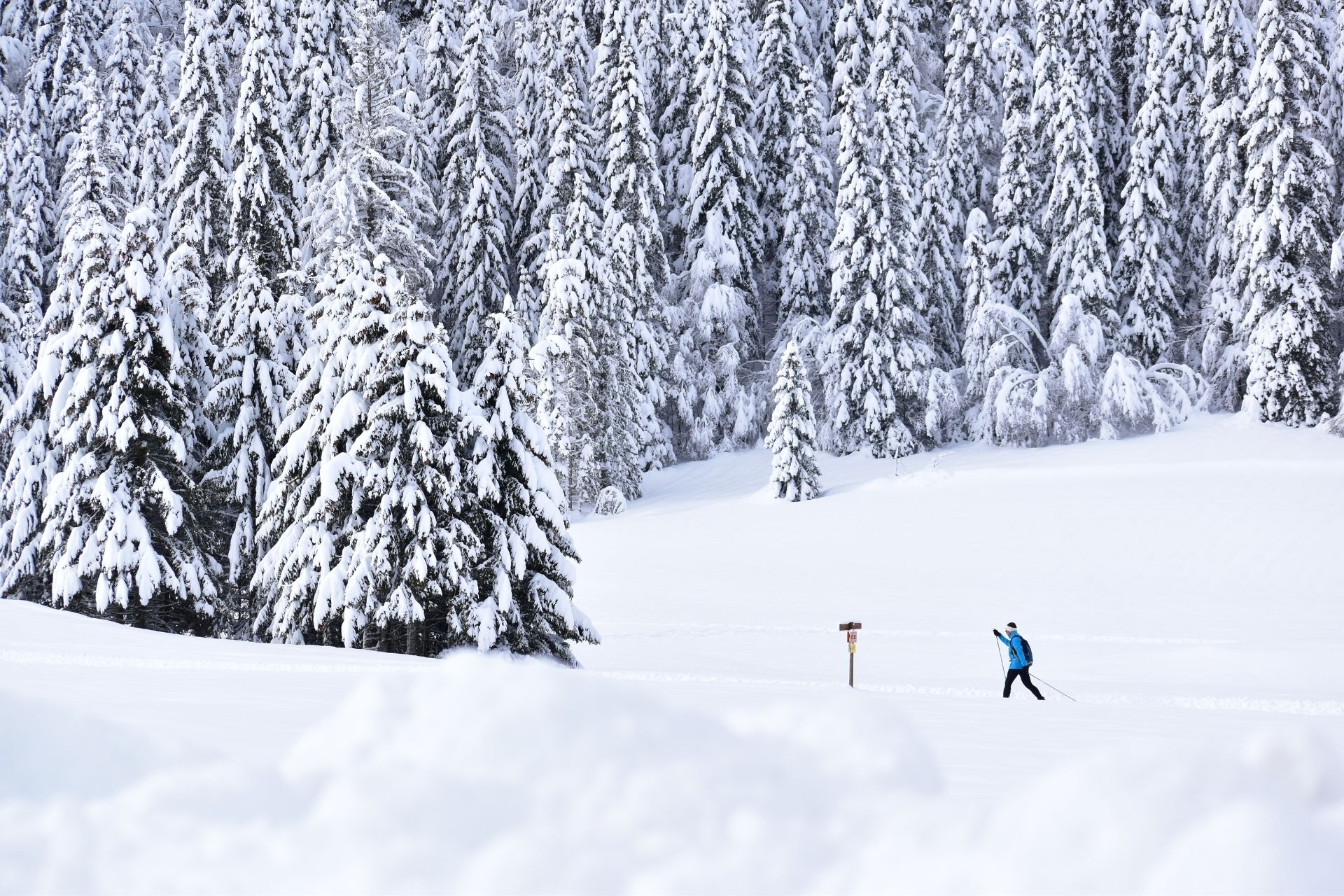 haut-doubs-nordique-ski-fond-chapelle-des-bois-sorya-hou-36449