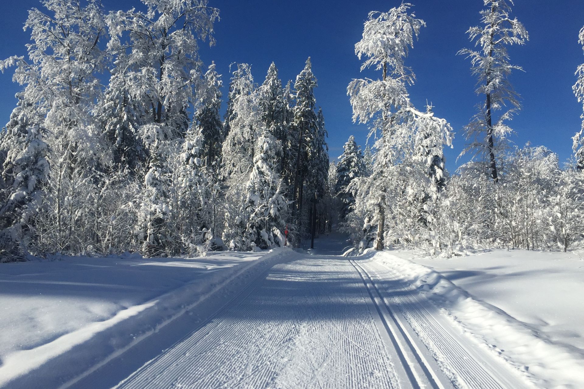 haut-doubs-ski-nordique-larmont-pontarlier-pistes-laithier-william-36450