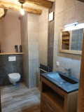 Salle de Bain lucarne