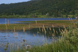 LE SENTIER DES RIVES DU LAC_6