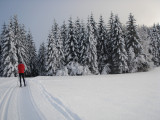 Ski de fond Les Fourgs