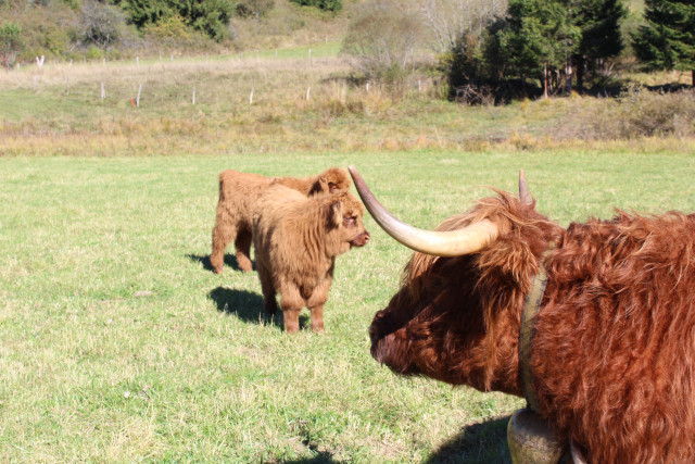 Activités Gourmandes Destination Haut Doubs 