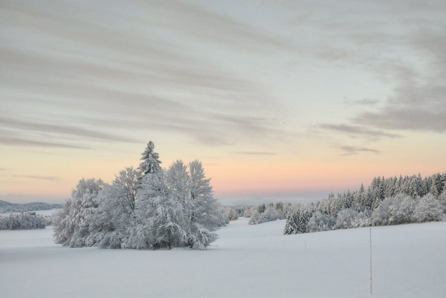 Pistes de ski de fond