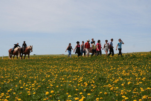 Randonnée équestre des Fruitières à Comté dans le Haut-Doubs