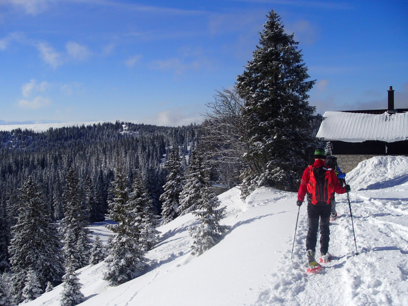 Raquettes à neige Jura avec SportsNatureEvasion