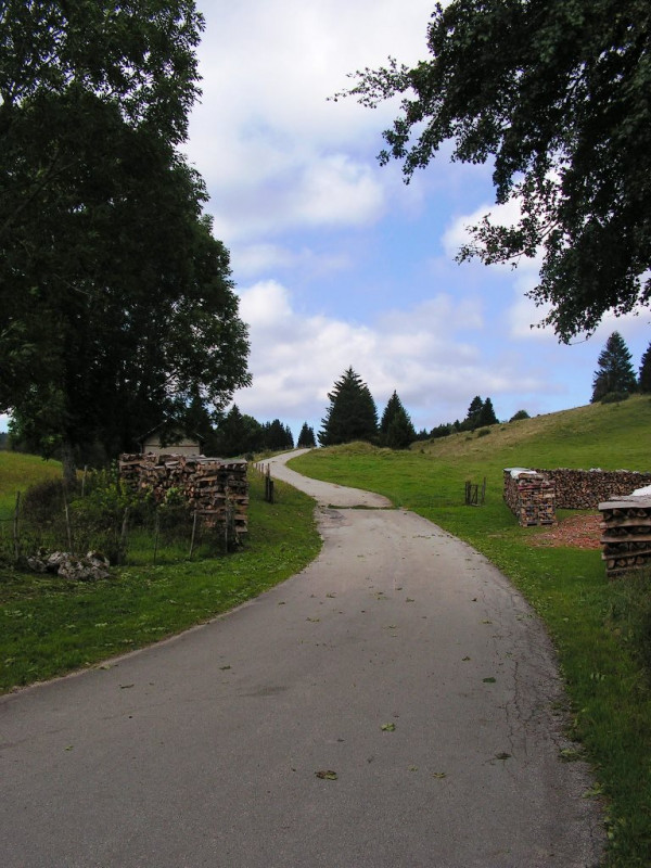  LE SENTIER DU BERGER DES VACHES_4