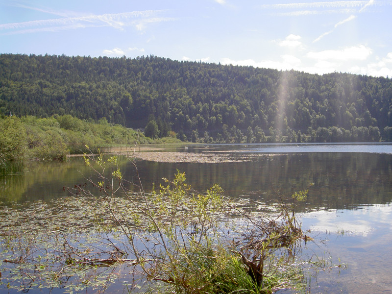 LE SENTIER DES RIVES DU LAC_9