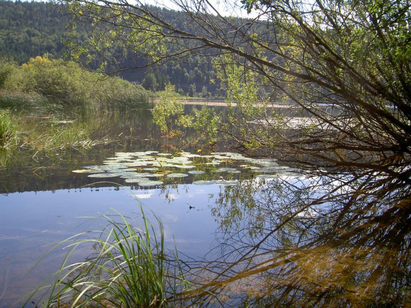 LE SENTIER DES RIVES DU LAC_5