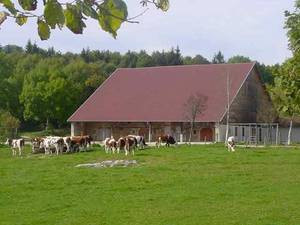  LE SENTIER DE CESSAY_1