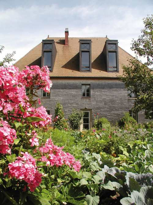 Jardin maison environnement