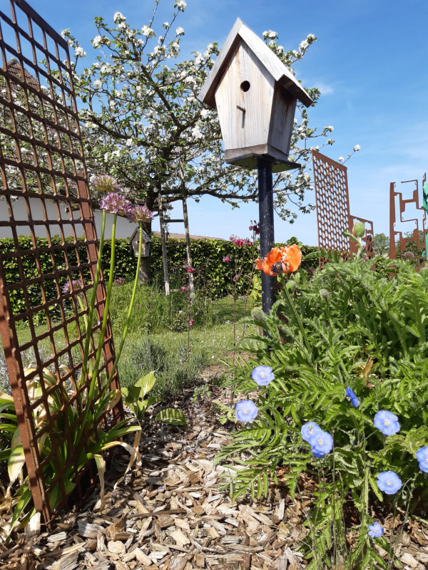 Jardin extérieur