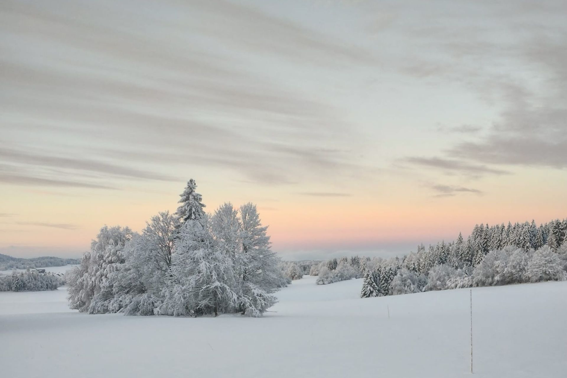 Pistes de ski de fond - © Davy Mougin