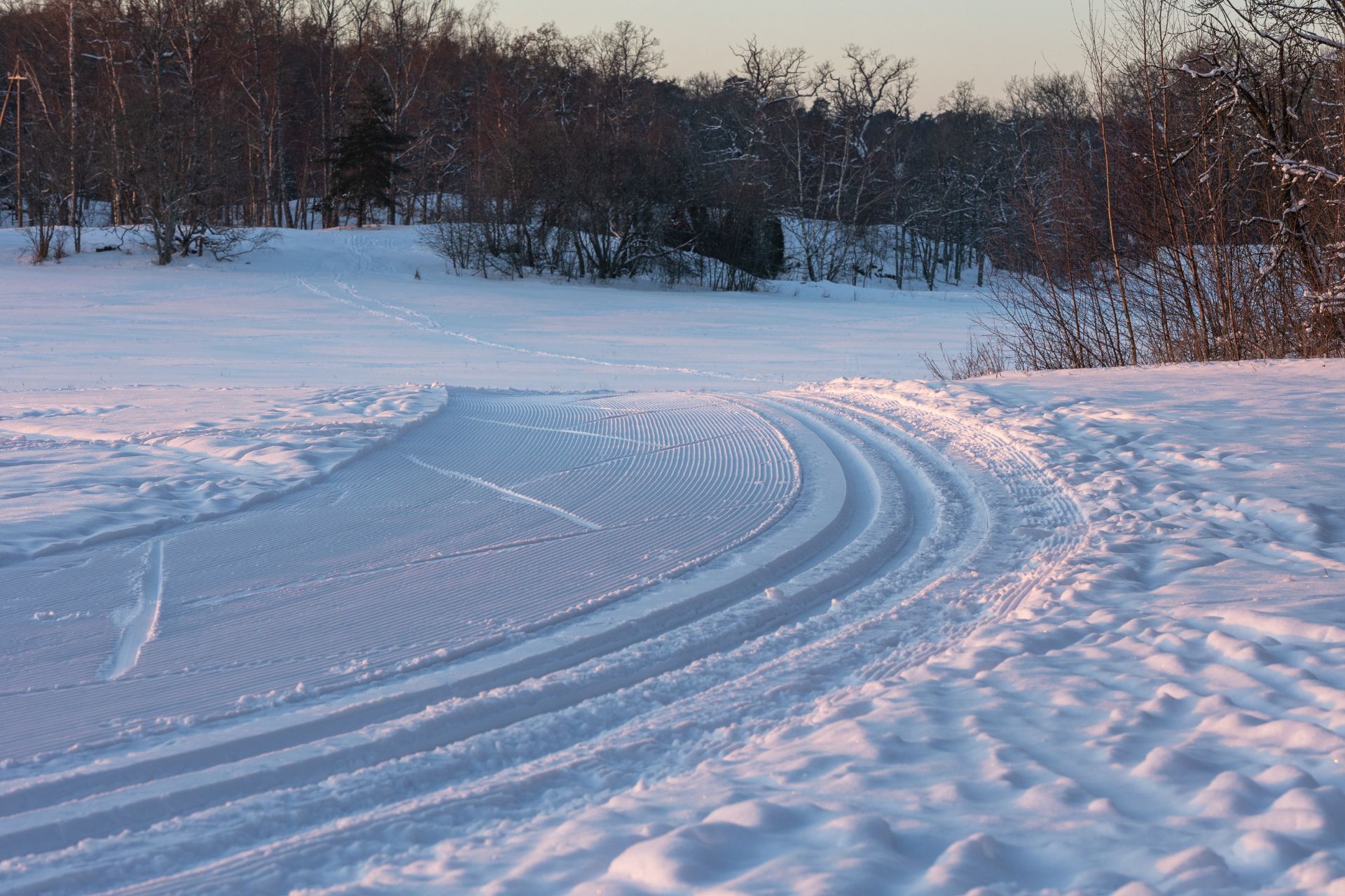 ski-nordique-traces-pistesforet-classique-skating-moyenne-montagne-canva-37473