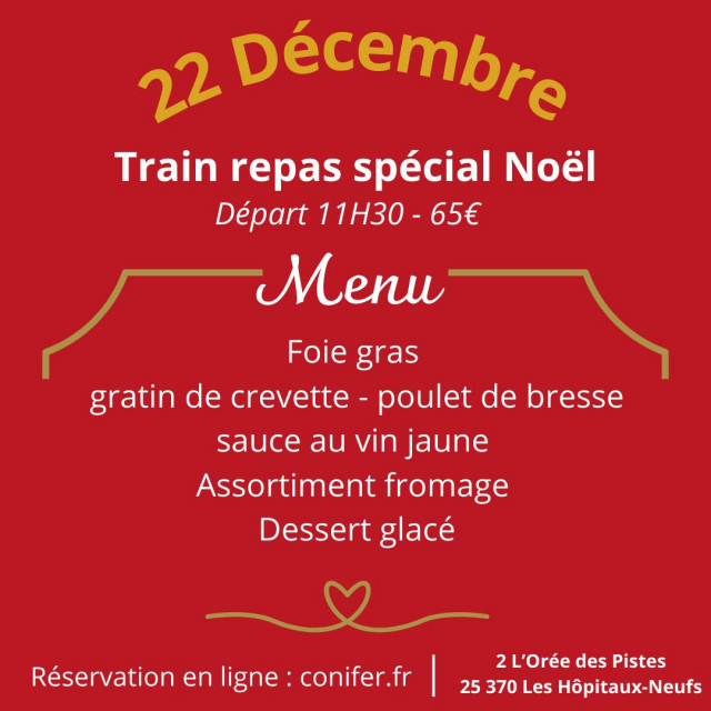 22 dec - train spécial noël - conifer