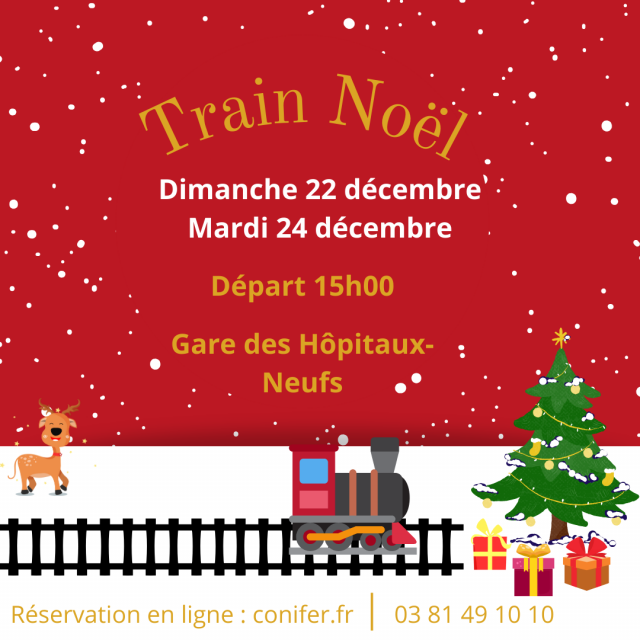 24 et 29 dec - train de noel- conifer