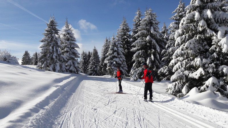 sur les pistes de fond