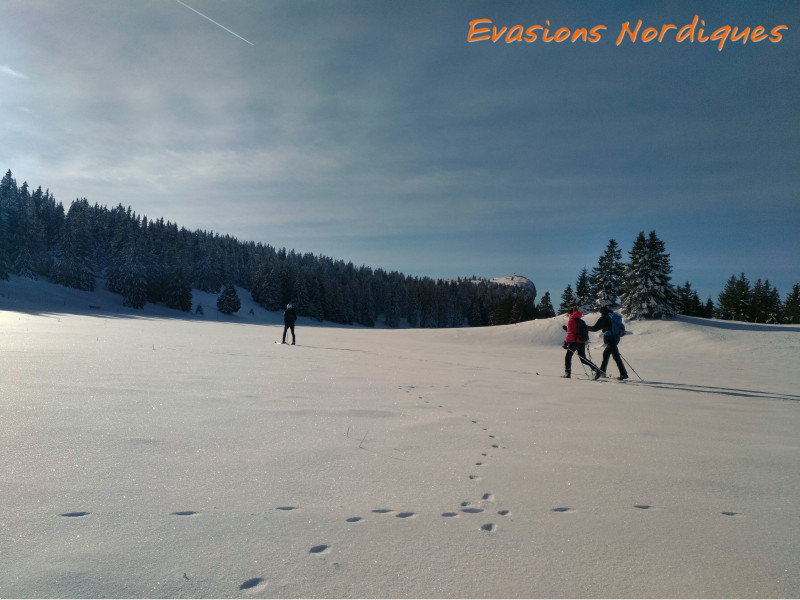 SKI DE RANDO NORDIQUE : BALADE_2