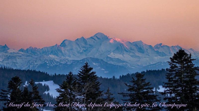 Vue sur Mt Blanc