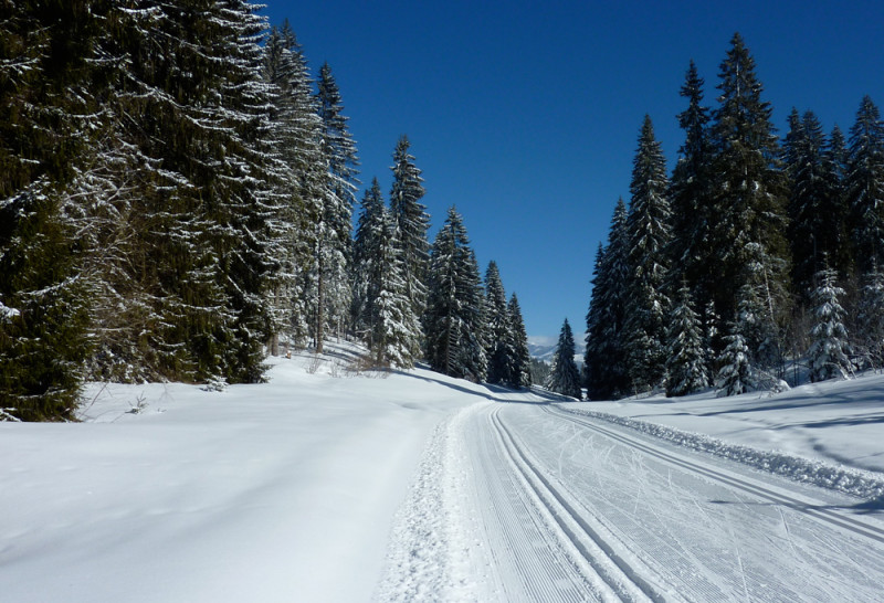 Pistes de fond