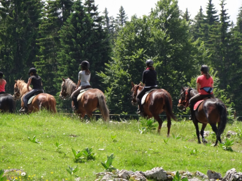 Ranch de la seignette