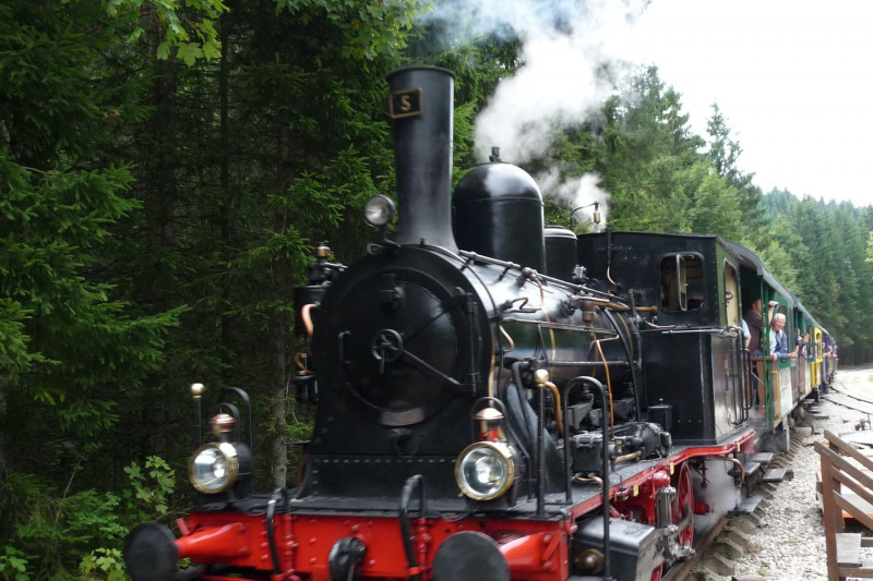 JM's / Compression photo web - haut_doubs_promenade_train_conifer_locomotive-maud-humbert