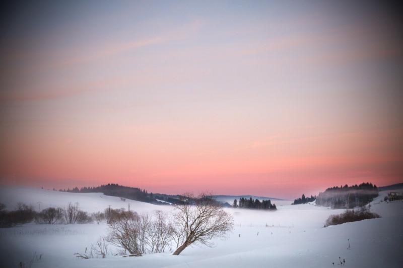 paysage neige hiver ©SophieCOUSIN (2)