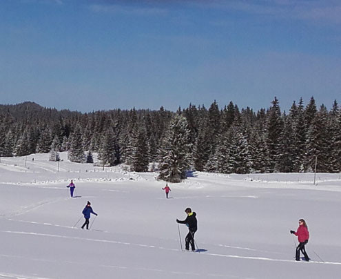 stage Skieur Débutant